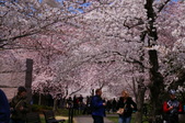Enlarge photo 40