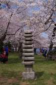 Enlarge photo 41