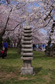 Enlarge photo 42