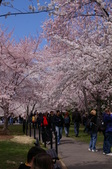Enlarge photo 43