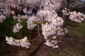 Enlarge photo 44