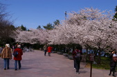Enlarge photo 45