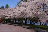 Enlarge photo 46