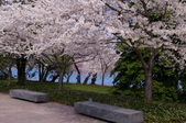 Enlarge photo 47