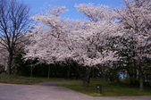 Enlarge photo 48