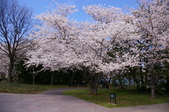Enlarge photo 49