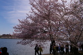 Enlarge photo 51