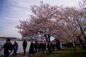 Enlarge photo 50