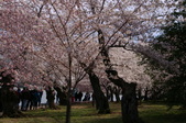 Enlarge photo 53