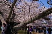 Enlarge photo 54