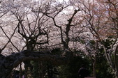 Enlarge photo 55