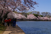 Enlarge photo 52