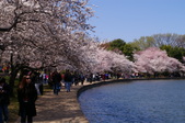 Enlarge photo 56