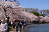 Enlarge photo 57