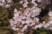 Enlarge photo 58