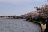 Enlarge photo 59