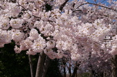Enlarge photo 61
