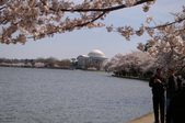 Enlarge photo 63