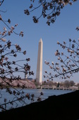 Enlarge photo 64