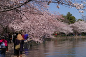 Enlarge photo 65