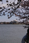 Enlarge photo 66
