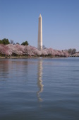 Enlarge photo 68