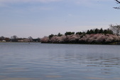 Enlarge photo 69