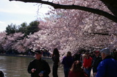 Enlarge photo 70