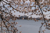 Enlarge photo 72