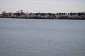 Enlarge photo 79