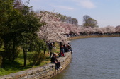 Enlarge photo 80