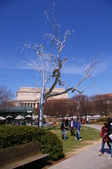 Enlarge photo 85