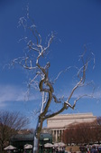 Enlarge photo 86