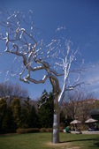 Enlarge photo 87