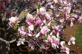 Enlarge photo 90