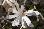 Enlarge photo 94