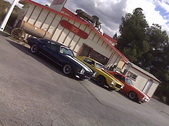 Enlarge photo 60