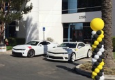 Enlarge photo 112