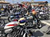 Enlarge photo 42