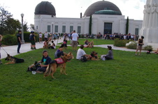 Enlarge photo 56