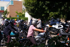 Enlarge photo 74