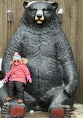 Enlarge photo 249