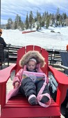 Enlarge photo 245