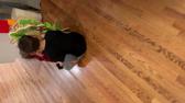 Enlarge MOV 186