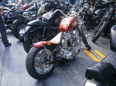 Enlarge photo 58