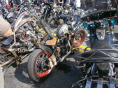 Enlarge photo 72