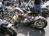 Enlarge photo 93