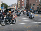 Enlarge photo 109