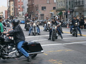 Enlarge photo 112