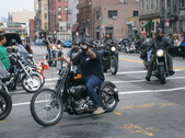 Enlarge photo 113